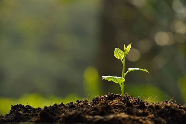 Digitally grow your business in Pathanamthitta